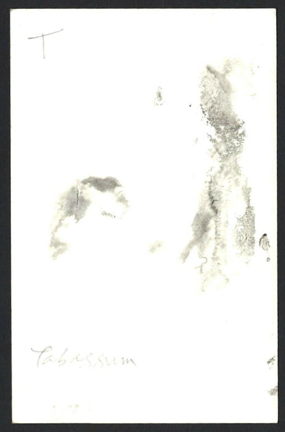 India Bollywood 1950s plain back postcard – Tabussam