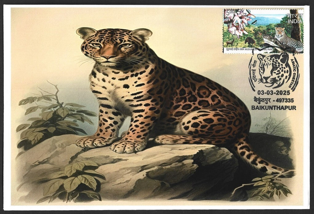 India ASIATIC CHEETAH, Baikunhapur postmark on special covers (3)