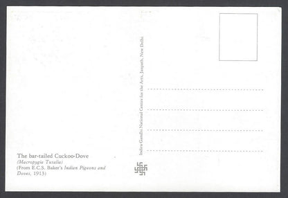 India 2008 Pigeon. The Bar - Tailed Cuckoo - Dove Maxi card