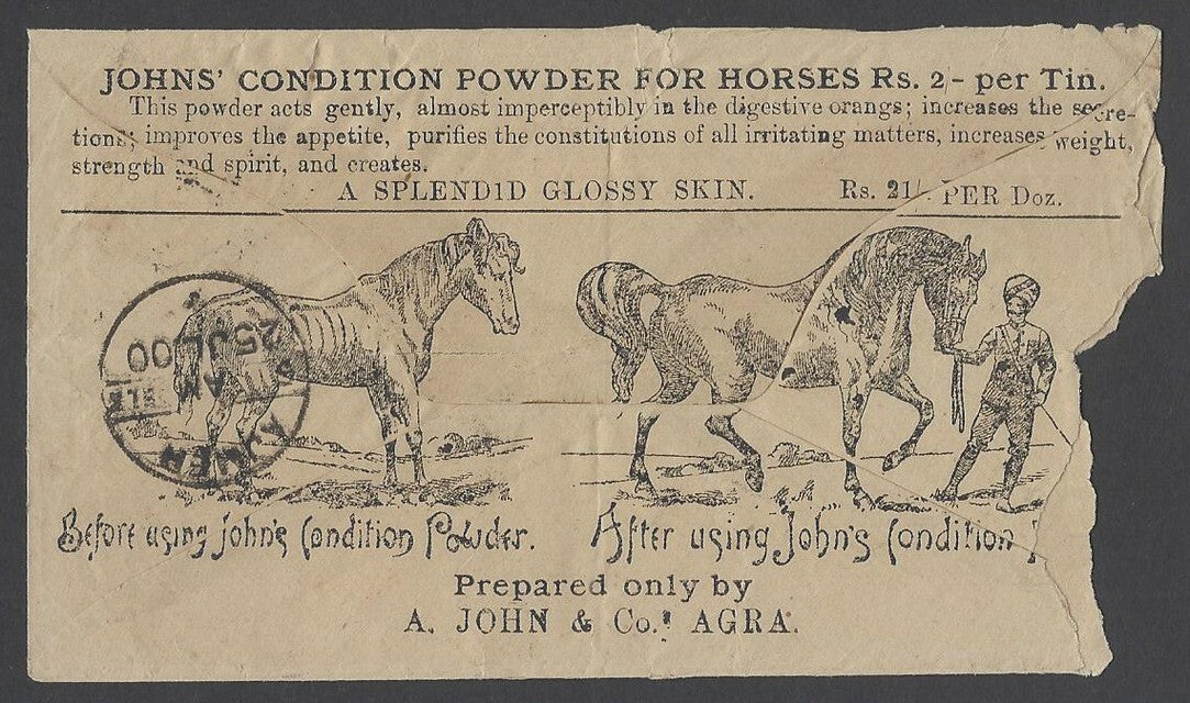 AOPIMT India illustrated QV 1900 advert cover JOHN'S CONDITION POWDER FOR HORSES