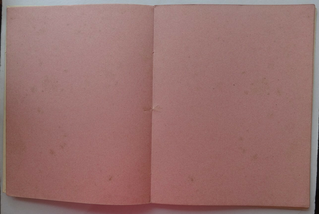 India 1916 blotter book with calendar Central Insurance