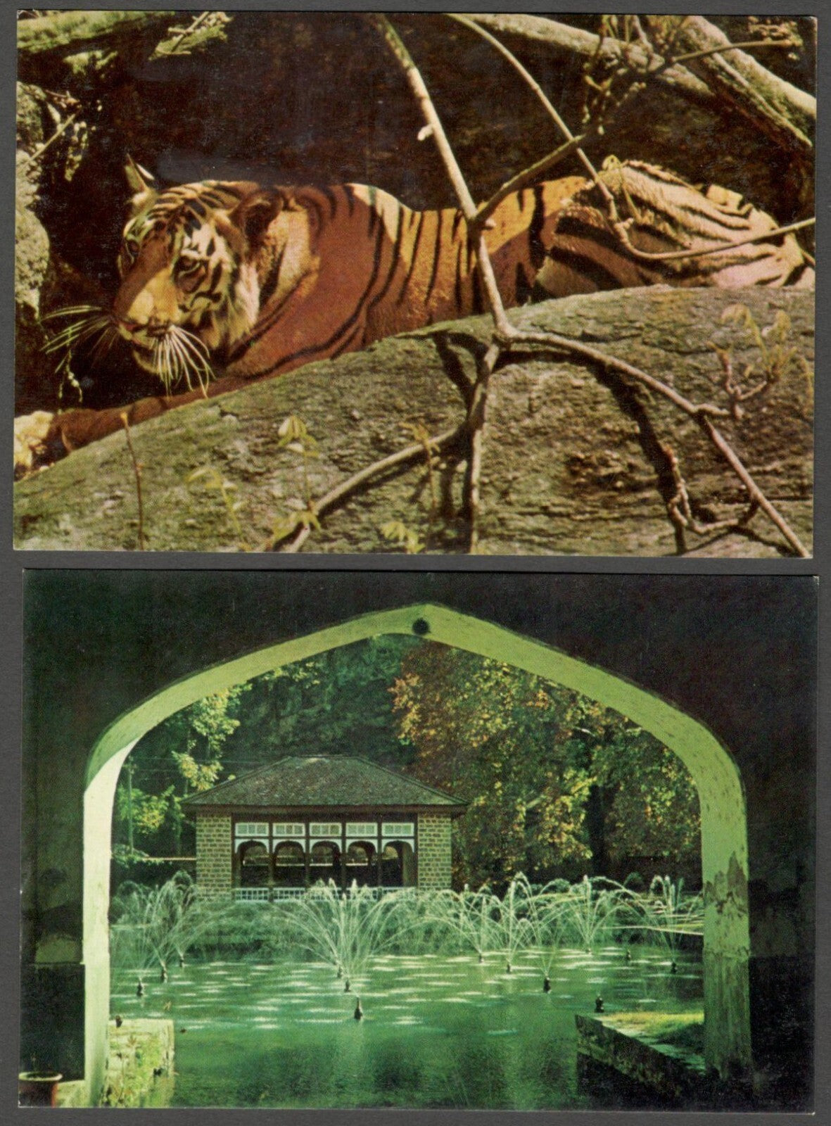 AOP India vintage postcards (11)