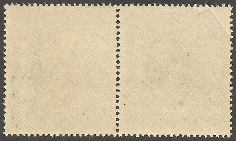 India Jaipur State 6a pair with FRAME PRINTED DOUBLE MNH