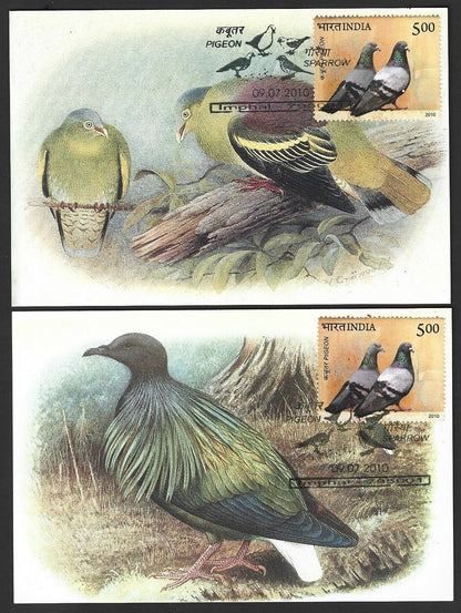 India 2010 Dove postcards (8)