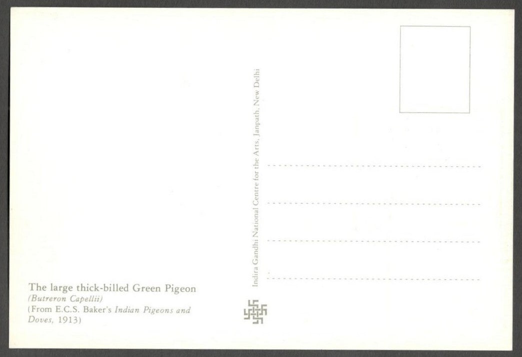 AOP India 2010 Pigeon maxi card