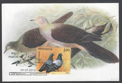 India 2008 Pigeon. The Bar - Tailed Cuckoo - Dove Maxi card