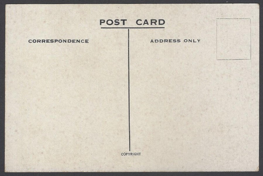 AOP India vintage postcard BIRD'S EYE VIEW OF DARJEELING