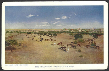India Bhavnagar State Paddocks Ground colour 1940s View Card with State Crest