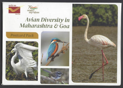 AOP India AVION DIVERSITY Postcard Pack with 10 postcards 2022