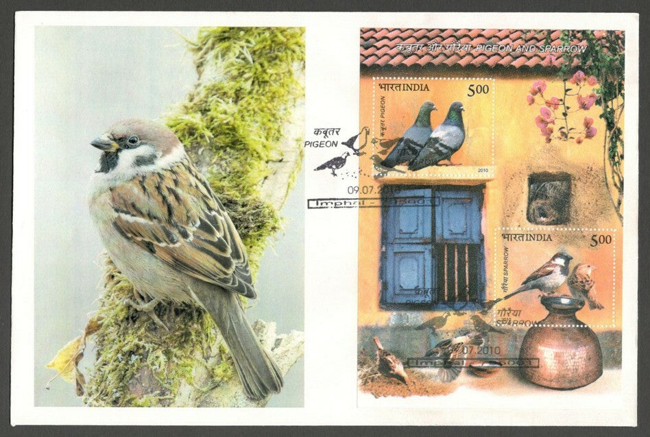 AOP India 2010 Birds Pigeon & Sparrow MS on FDC First Day cover