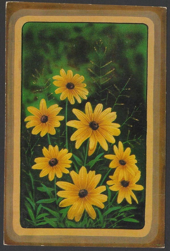 India Flowers vintage postcards (9)