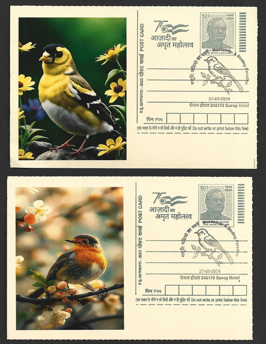 India 2024 Birding Paradise Savoy Hotel postmark cards MULTICOLORED BIRDS (8)