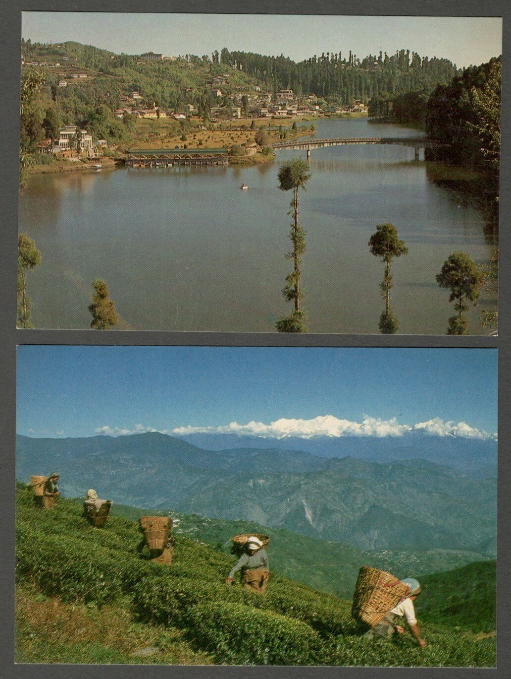 AOP India Darjeeling vintage postcards (8)