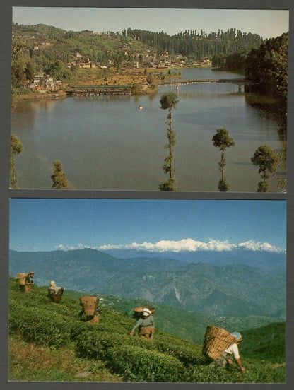 AOP India Darjeeling vintage postcards (8)