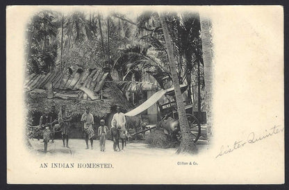 India AN INDIAN HOMESTEAD vintage UB postcard