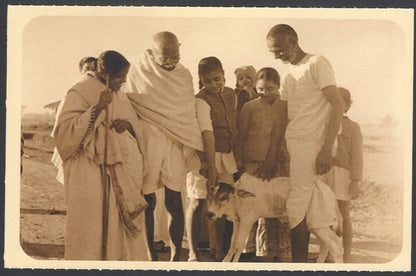 AOP India full back pictorial 50p Gandhi postal card GANDHI and a calf