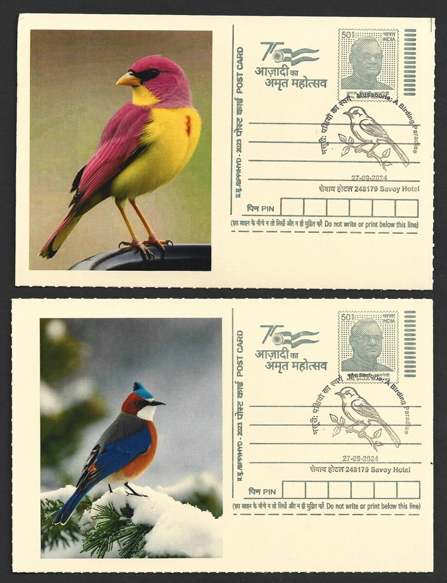 India 2024 Birding Paradise Savoy Hotel postmark cards MULTICOLORED BIRDS (8)