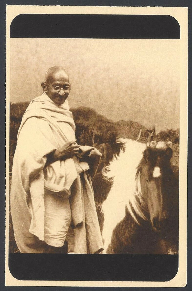 AOP India full back pictorial 50p Gandhi postal card GANDHI and a horse 