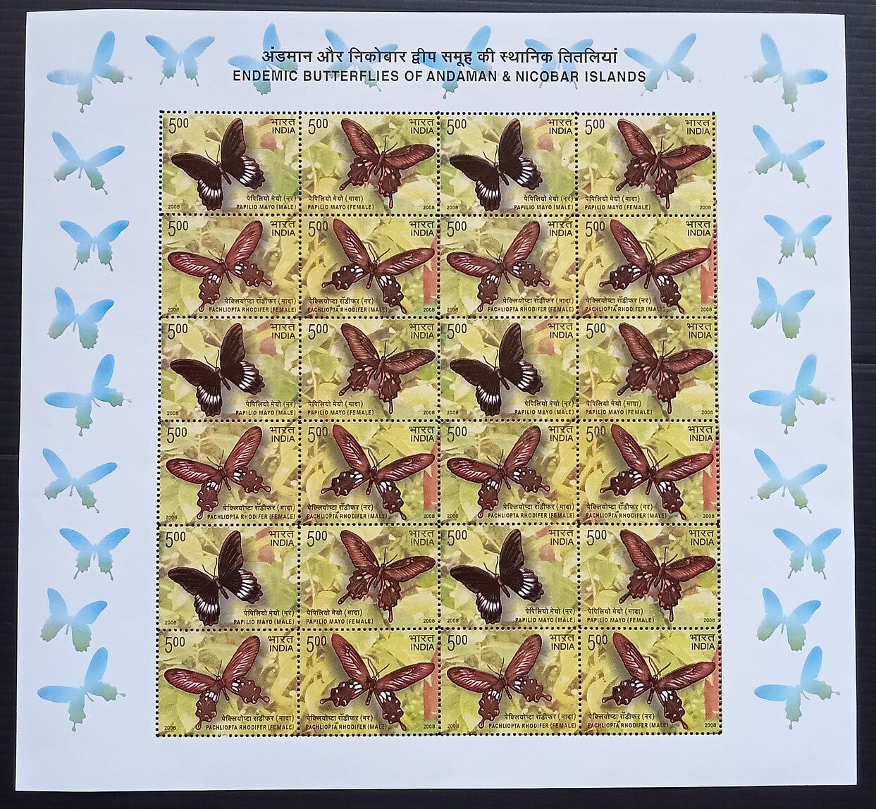 India 2008 Butterflies set of 5 sheetlets of 24 MNH