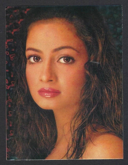 AOP Bollywood India promotional pocket calendar 2003 DIYA MIRZA