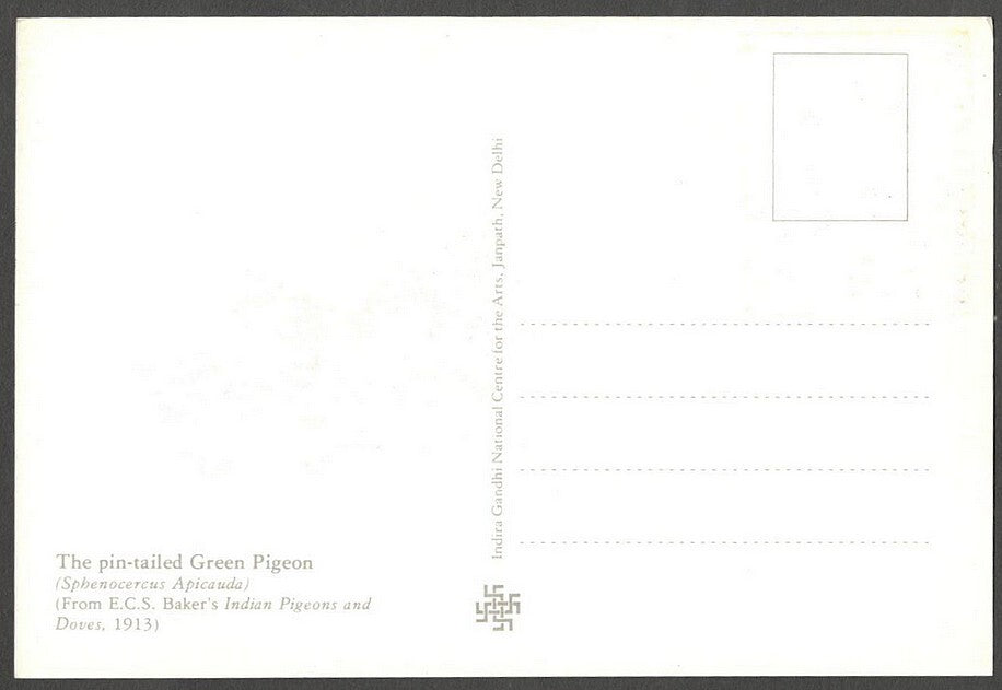 AOP India 2010 Pigeon maxi card