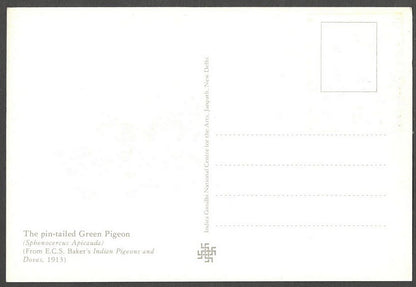 AOP India 2010 Pigeon maxi card