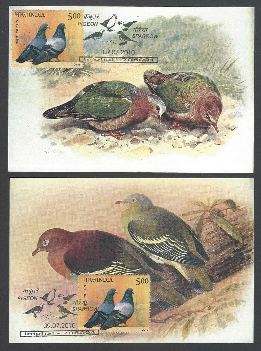 AOP India 2010 Pigeon maxi card set of 24