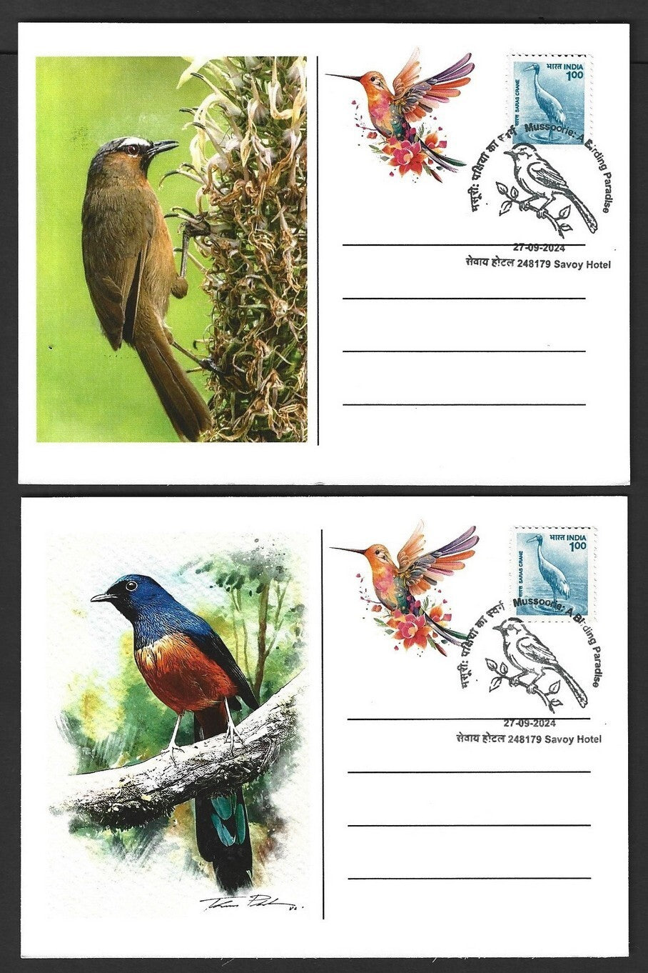 India 2024 BIRDS maximum cards (not first day) (8)