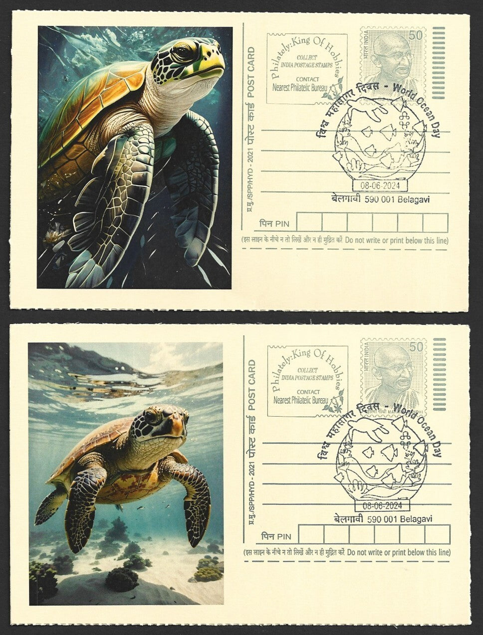 India 2024 World Ocean Day cards TORTOISE (9)