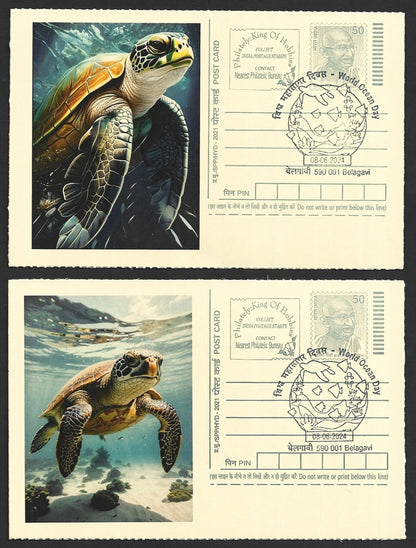 India 2024 World Ocean Day cards TORTOISE (9)