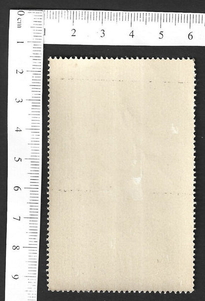 Vintage OVERLAND TO INDIA poster stamp - REHIM ALI LADAK Tibet zaz