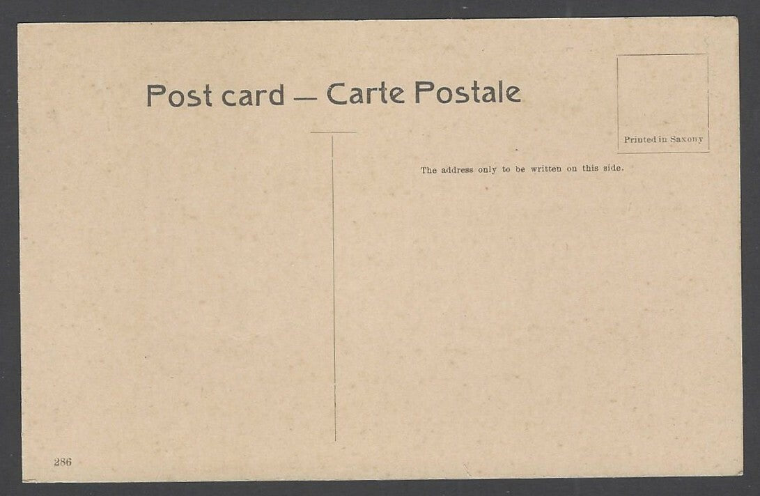 India Bund Falls Poona vintage postcard