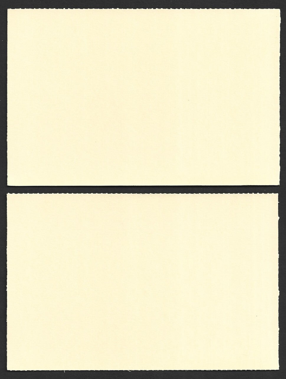 India 2024 World Ocean Day cards TORTOISE (4)