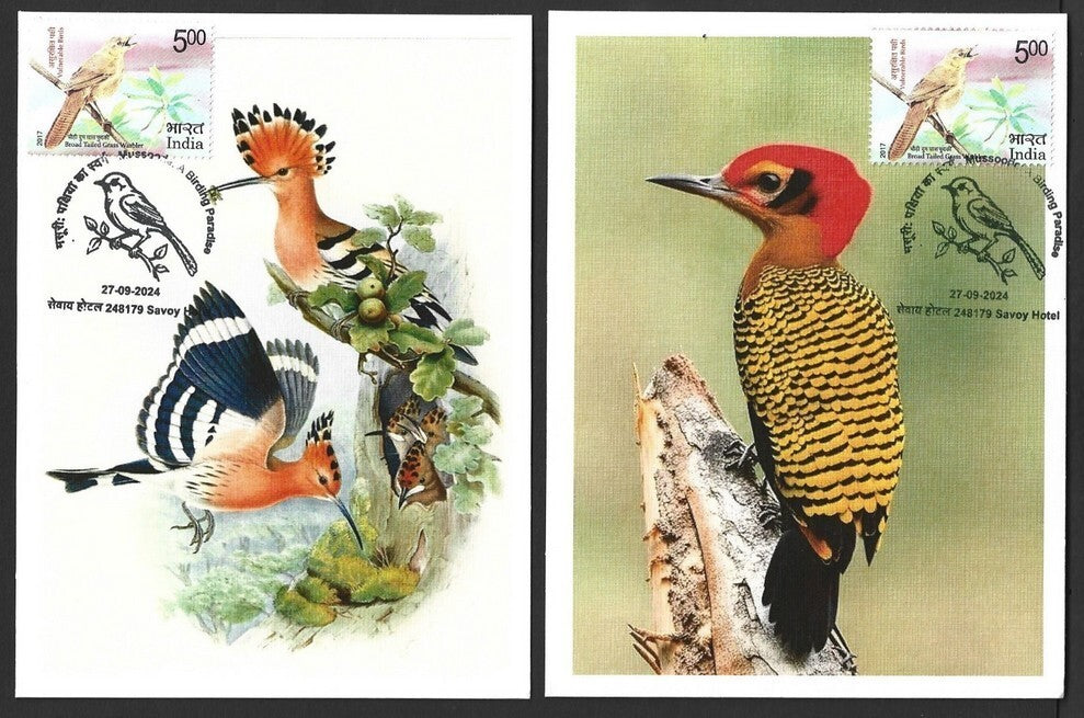 India 2024 BIRDS - WOODPECKERS maximum cards (not first day) (8)