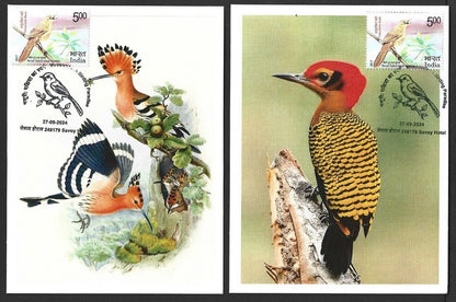 India 2024 BIRDS - WOODPECKERS maximum cards (not first day) (8)