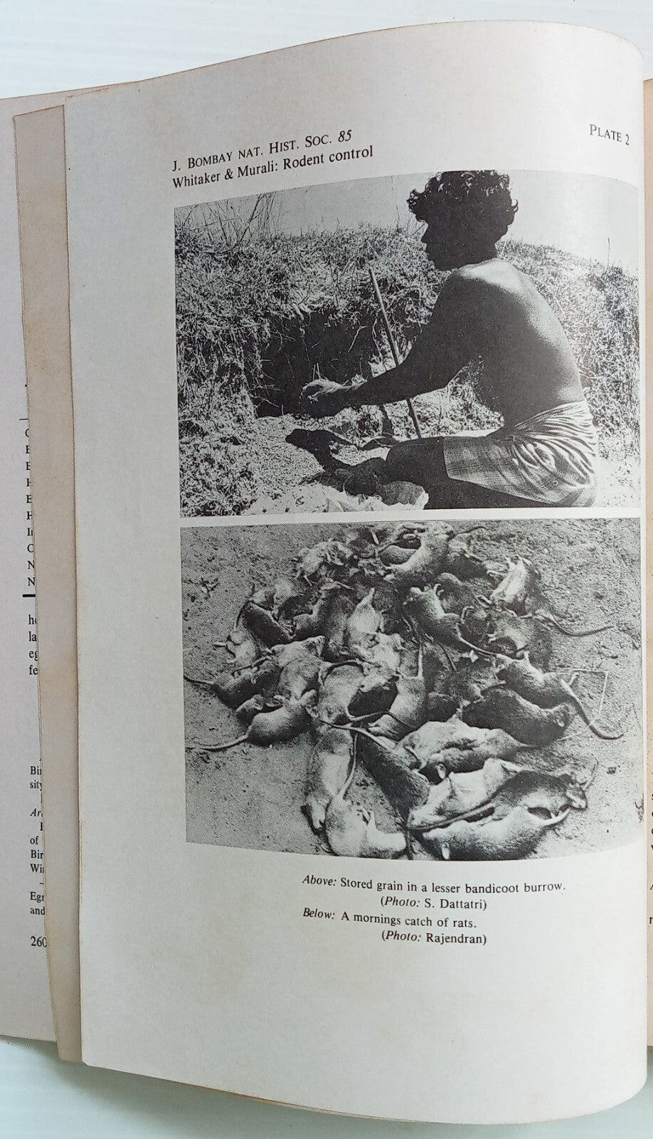 AOP India JOURNAL of the Bombay Natural History Society 1988 