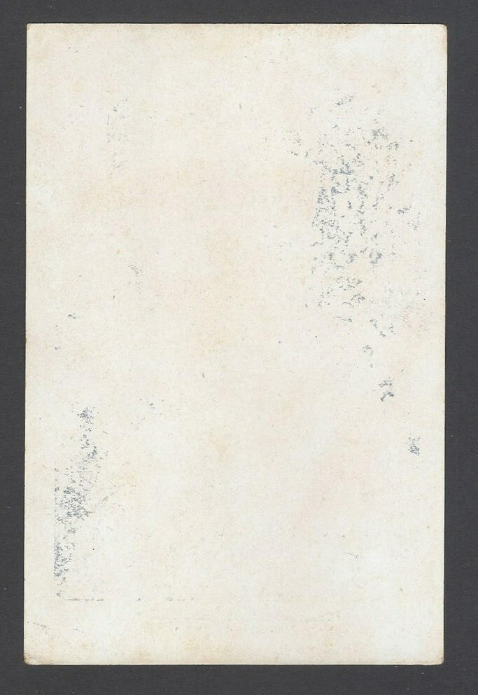 AOP India vintage postcard BRIJVASI