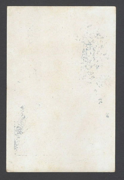 AOP India vintage postcard BRIJVASI