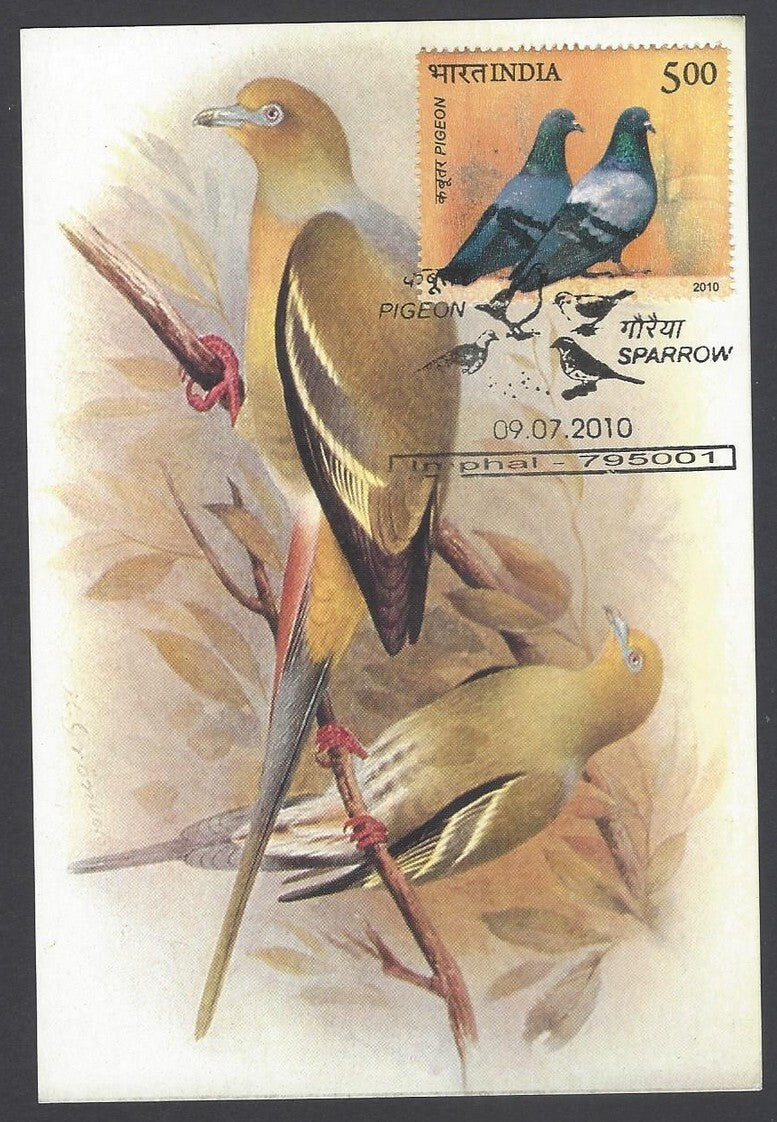 AOP India 2008 Pigeon The Pin Tailed Green Pigeon Maxi card