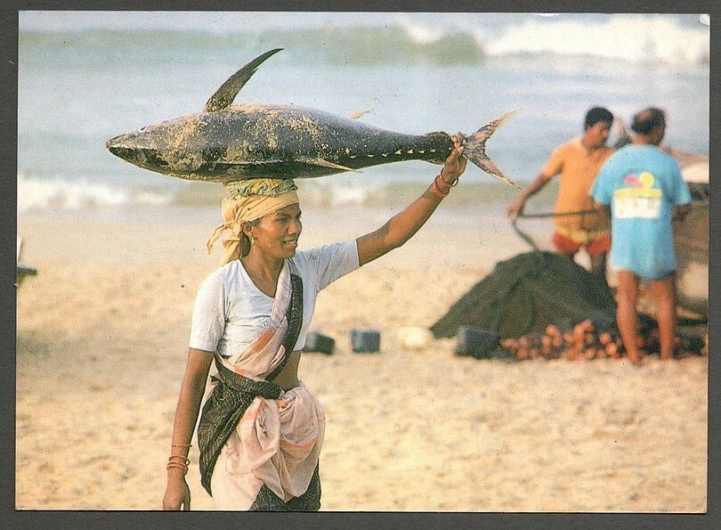 AOP India Goa Fish vintage Auroville postcards (3)