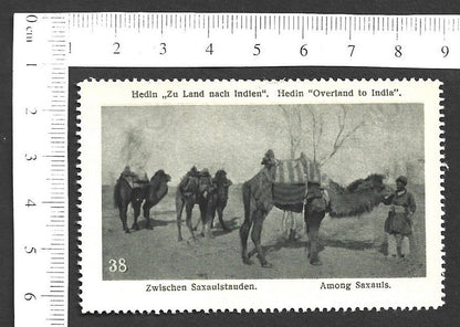 Vintage OVERLAND TO INDIA poster stamp - AMONG SAXAULS zaz