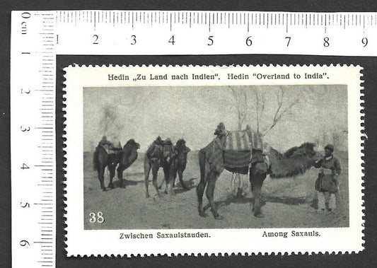 Vintage OVERLAND TO INDIA poster stamp - AMONG SAXAULS zaz