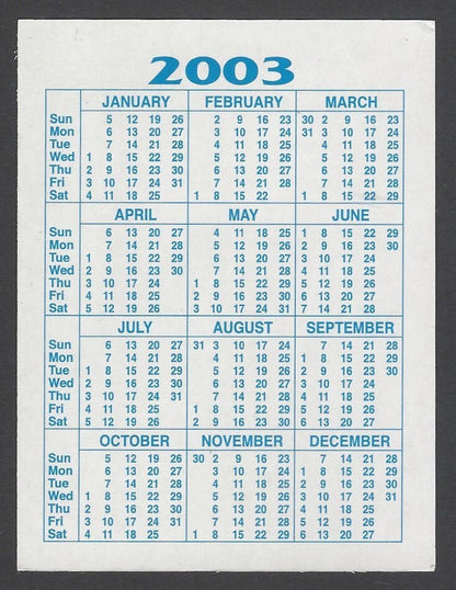 AOP Bollywood India promotional pocket calendar 2003 DIYA MIRZA