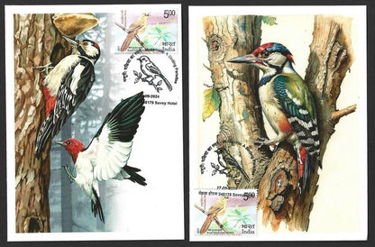 India 2024 BIRDS - WOODPECKERS maximum cards (not first day) (8)