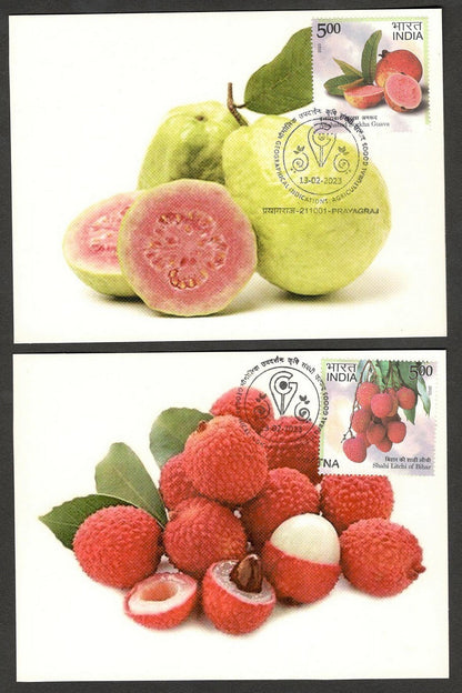 (AOP) India 2023 Indian Fruits sets of 12 maxicards