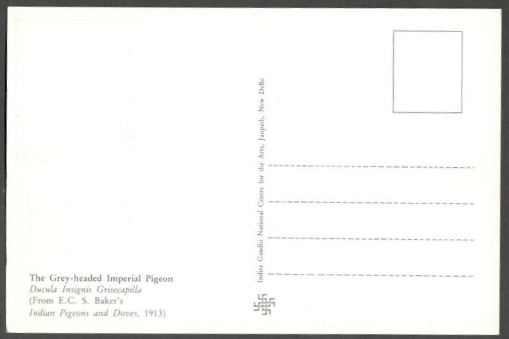 AOP India 2010 Pigeon maxi card