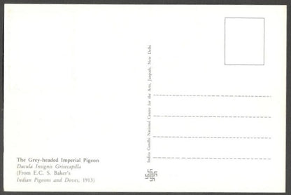 AOP India 2010 Pigeon maxi card