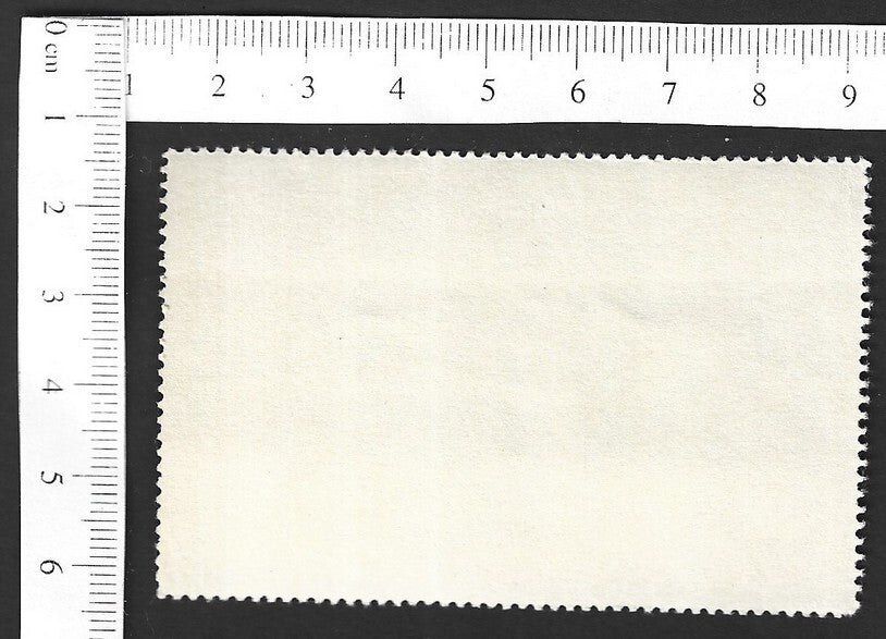 Vintage OVERLAND TO INDIA poster stamp - MY PERSIAN COSSACKS & GULAM HUSSEIN zaz