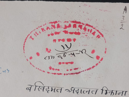 India Jodhpur state Thikana JASNAGAR 8a stamp paper