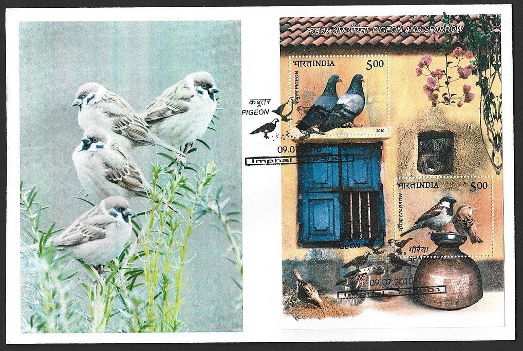 India 2010 Birds Pigeon & Sparrow MS on FDC First Day cover